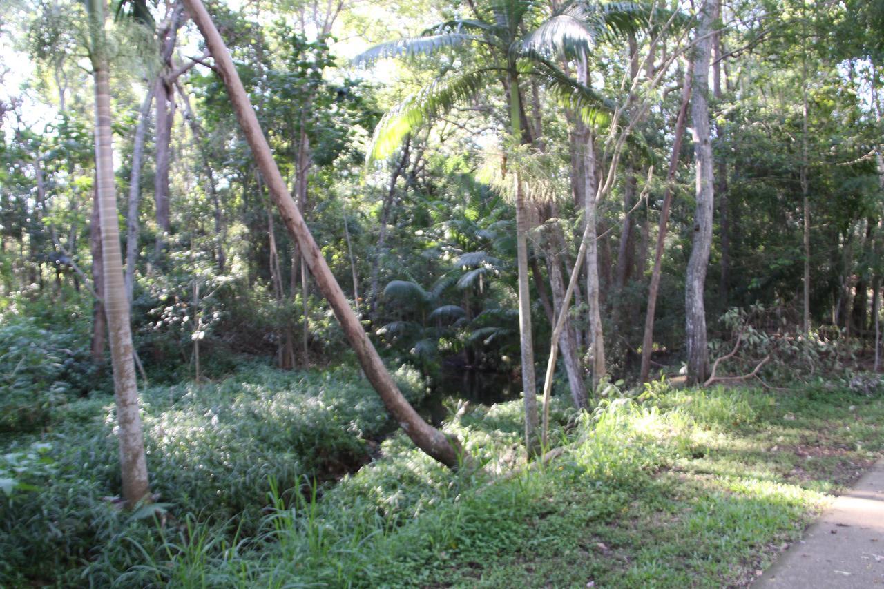 Paperbark Bed&Breakfast Brisbane Eksteriør bilde