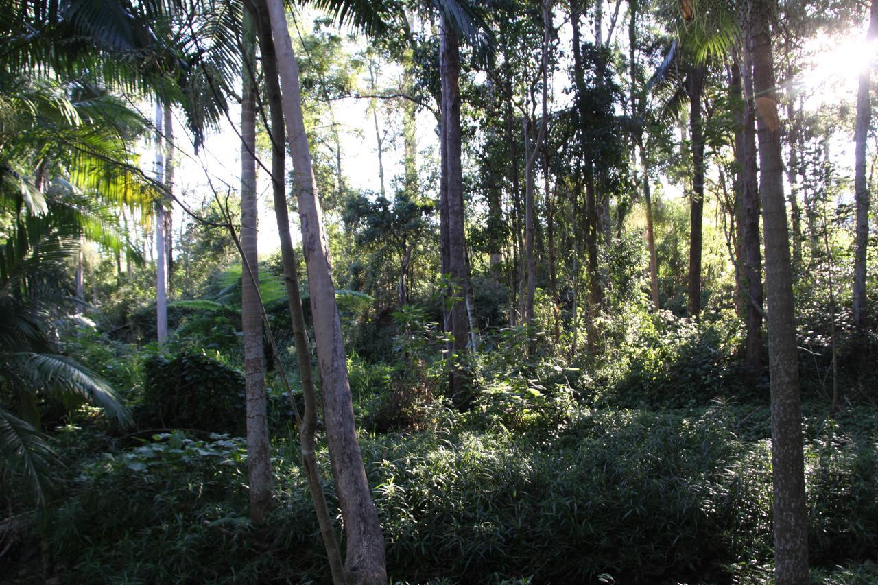 Paperbark Bed&Breakfast Brisbane Eksteriør bilde